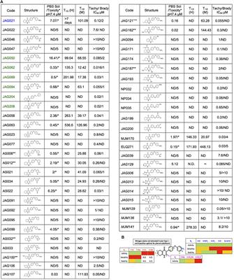 Potent Tetrahydroquinolone Eliminates Apicomplexan Parasites